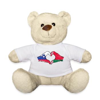 Slovénie Biélorussie drapeau mains forme de coeur utilisé - Nounours - blanc - Devant