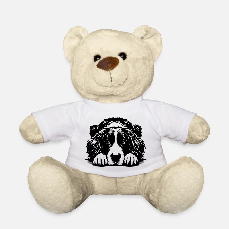 Münsterländer - Nounours - blanc