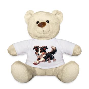 Border Collie bwr - Teddy - Weiß - Vorne