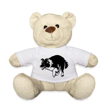 Border Collie - Nounours - blanc - Devant