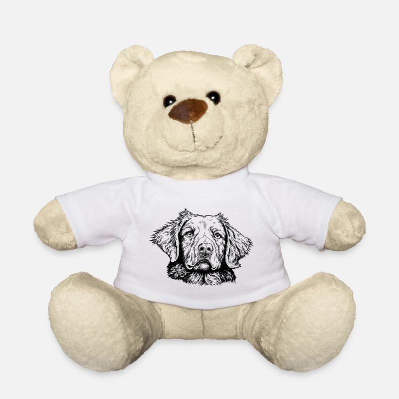 Retriever de la Nouvelle-Écosse - Nounours - blanc
