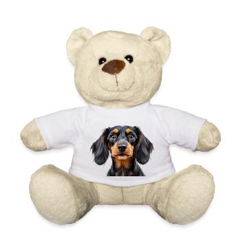Dachshund dog portrait loyal pets animals snout - Teddy - Weiß - Vorne