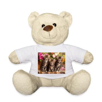 Aimée-Trio von gefleckten Kätzchen in Blüte - Teddy - Weiß - Vorne