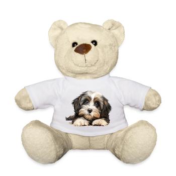 Chien havanais - Nounours - blanc - Devant