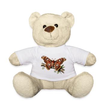 Papillon nocturne Attacus  - Nounours - blanc - Devant