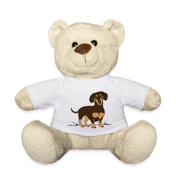 Dackel, Hund - Teddy - Weiß - Vorne