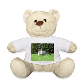 Chaton curieux - Nounours - blanc - Devant