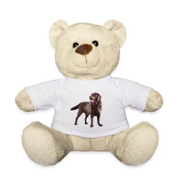 Labrador - Teddy - Weiß - Vorne