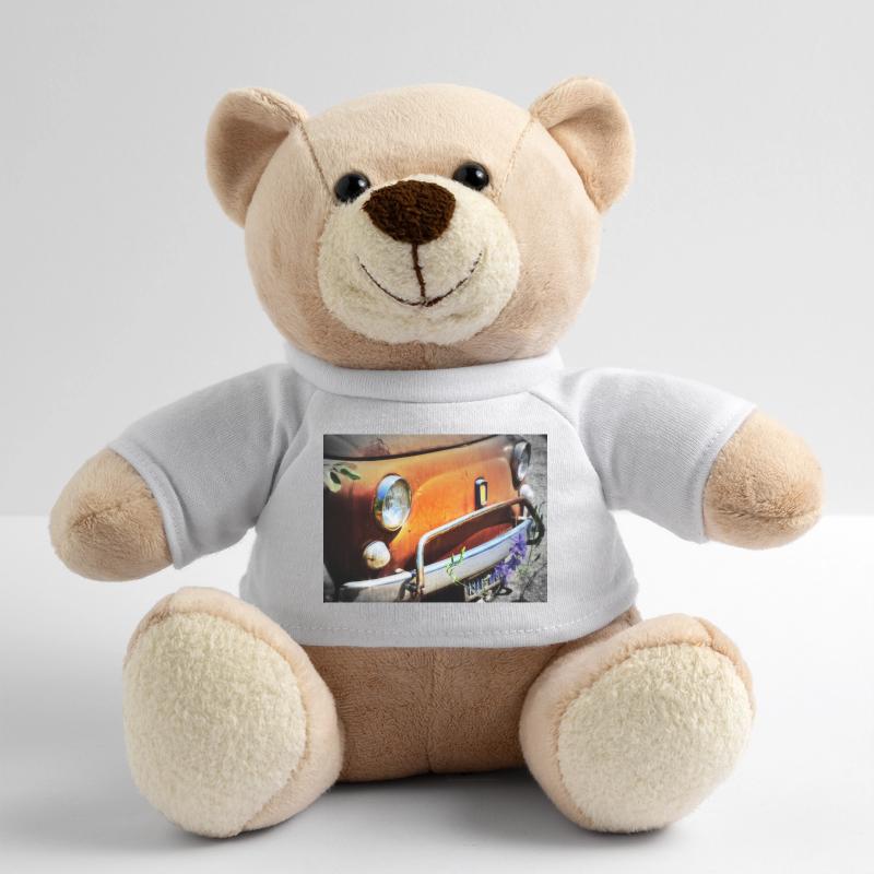 Rostiges Oldtimer Front Design Teddy