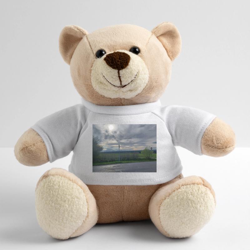 Evening Mood South Germany Teddy Bear