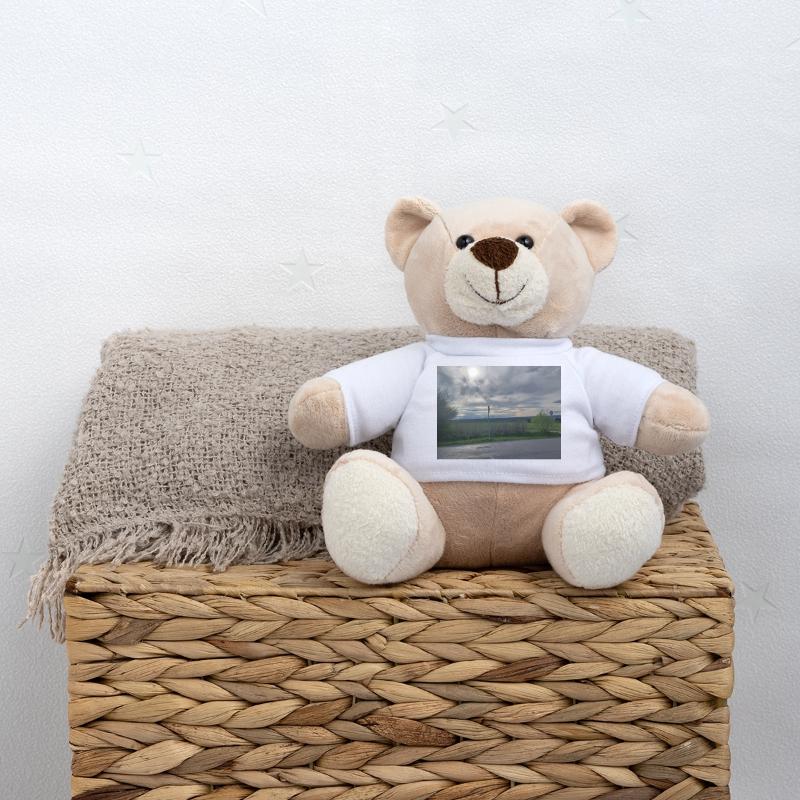 Evening Mood South Germany Teddy Bear
