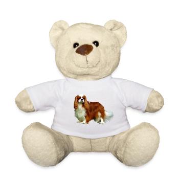 Cavalier King Charles Spaniel - Nounours - blanc - Devant
