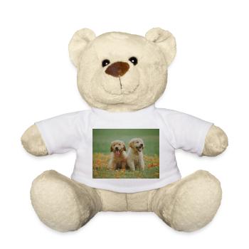 2 Labrador Retriever puppies in the flower field - Teddy Bear - white - Front