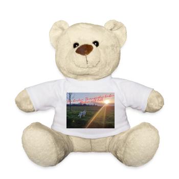 Paw therapy in the evening sun - Teddy Bear - white - Front