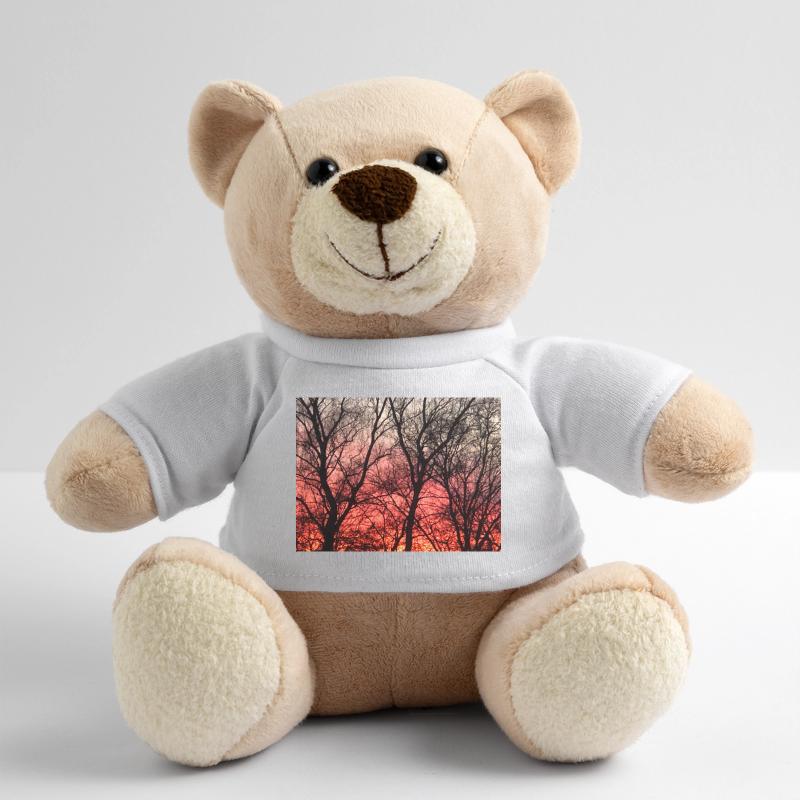 Abendrot_1 Teddy