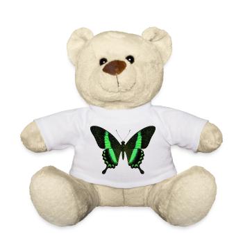 Smaragdschwalbenschwanz Papilio palinurus Schmetterling - Teddy - Weiß - Vorne