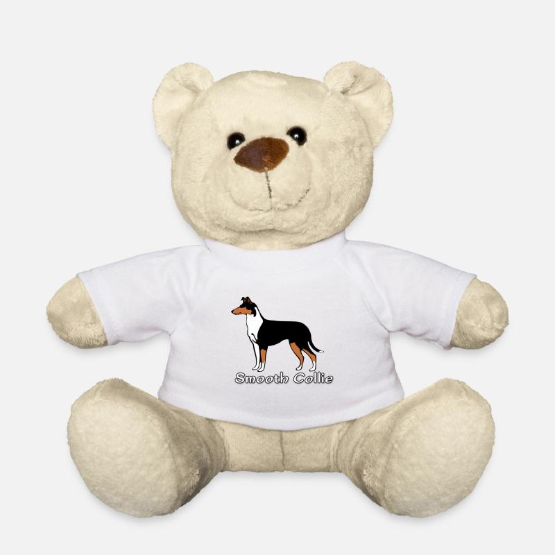 Smooth Collie tricolour - Teddy - Weiß