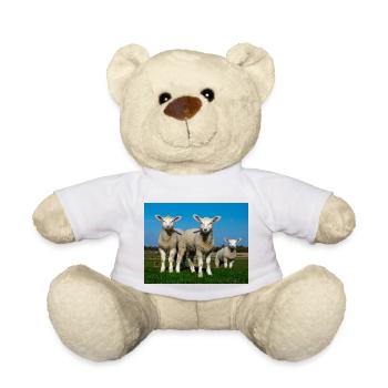 lambs in the pasture - Teddy Bear - white - Front
