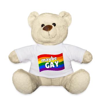 Vielleicht Gay vielleicht nicht schwule Regenbogenflagge LGBQ Pride - Teddy - Weiß - Vorne