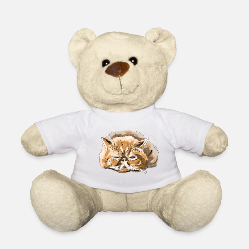 Perserkatze Katze - Teddy - Weiß