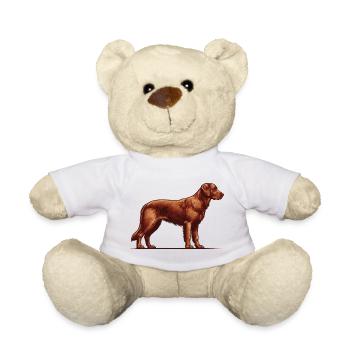 Chesapeake Bay Retriever - Teddy - Weiß - Vorne