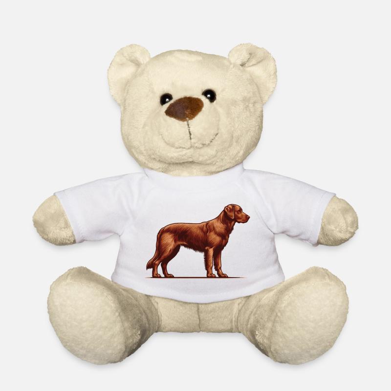 Chesapeake Bay Retriever - Teddy - Weiß