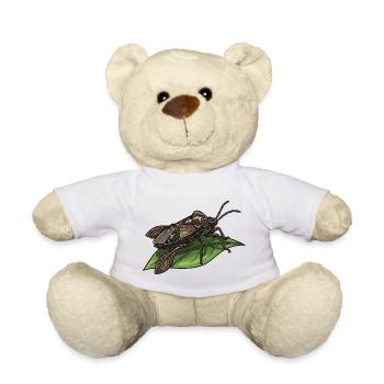 Punaise Eau Geante Riesen-Wasserwanzenblatt - Teddy - Weiß - Vorne