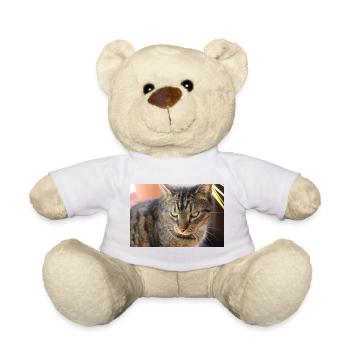 Katze Kätzchen Poster Katzenposter Tigerkatze - Teddy - Weiß - Vorne