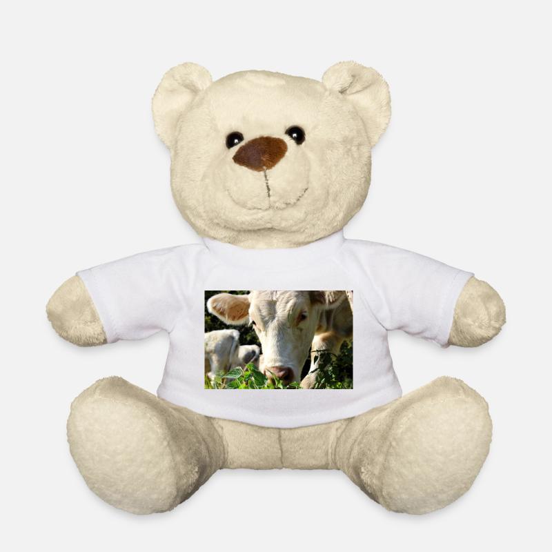 Kuh Poster - Teddy - Weiß