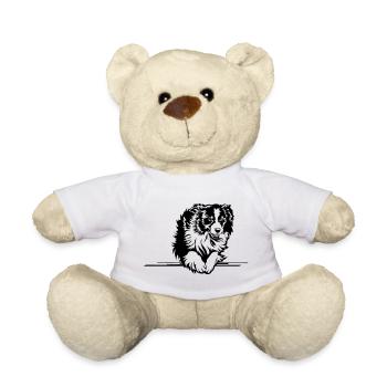 Australian Shepherd - Teddy - Weiß - Vorne
