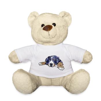 Berner Sennenhund - Teddy - Weiß - Vorne