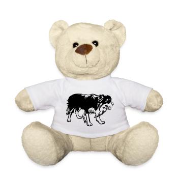 Border Collie - Nounours - blanc - Devant