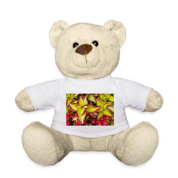 Coleus Color Play Leaves / Nettle - Teddy Bear - white - Front