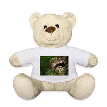 Natur trifft Steinbogen-Ruine / Nordschwarzwald - Teddy - Weiß - Vorne
