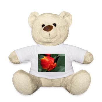 Feurige Tulpenfrische - Teddy - Weiß - Vorne