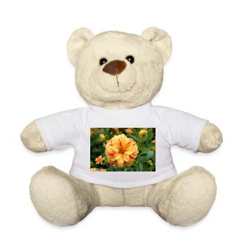 Dahlia, Fleur, Fleur, Jaune, Rouge - Nounours - blanc - Devant