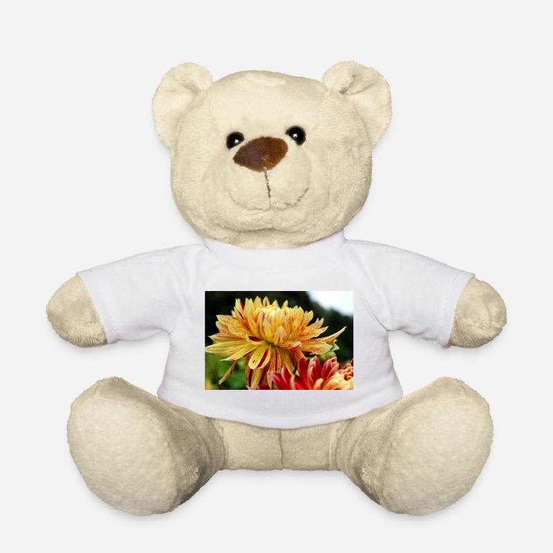 Dahlie gelb Blüte ,Blume - Teddy - Weiß