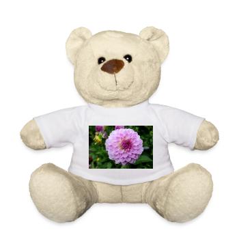 Dahlia Pink Pink Blossom ,Flower - Teddy Bear - white - Front