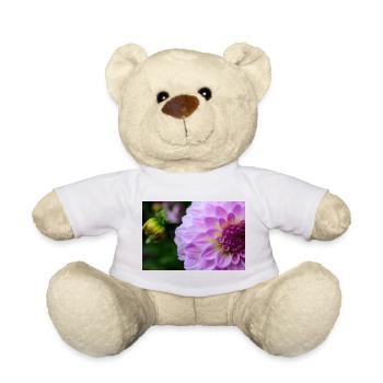 Dahlia rose rose Violet fleur, fleur - Nounours - blanc - Devant