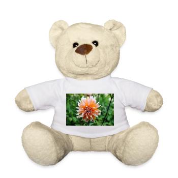Dahlia Orange White Blossom ,Flower - Teddy Bear - white - Front