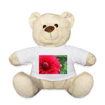 Dahlia Red Blossom ,Flower - Teddy Bear - white - Front