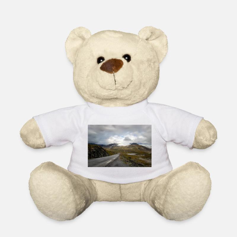 Straße durch Berglandschaft im Nebel - Teddy - Weiß