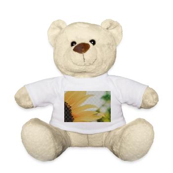 Sonnenblume Nahaufnahme Gelb Orange - Teddy - Weiß - Vorne