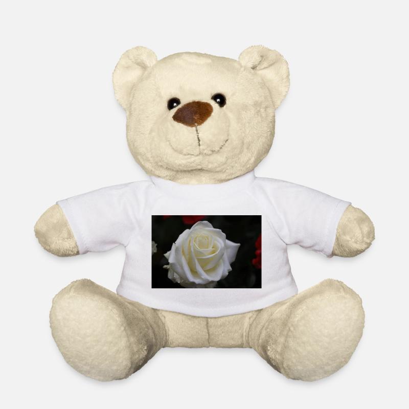 white rose - Teddy Bear - white