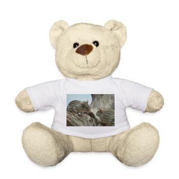 Deux petits rongeurs à la face en fourrure rayée - Nounours - blanc - Devant