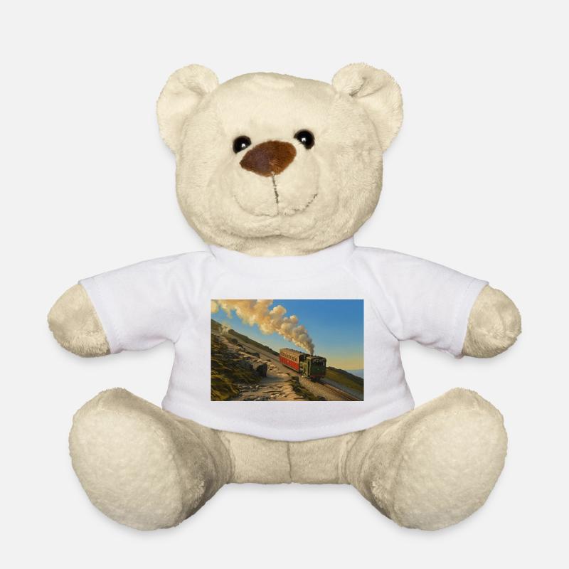 Snowdon Mountain Steam Engine - Teddy Bear - white