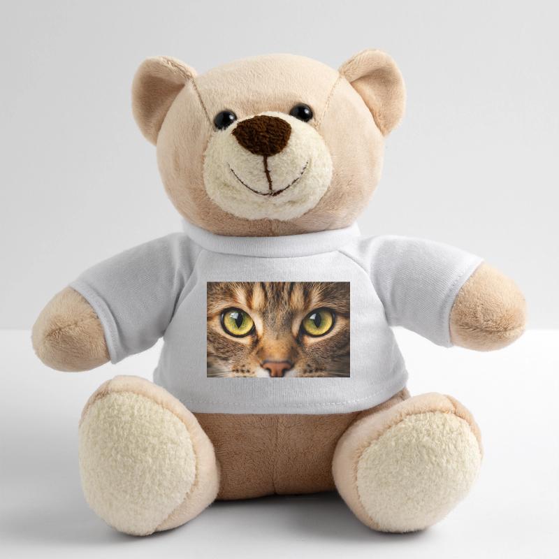 Œil de chat en gros plan Nounours