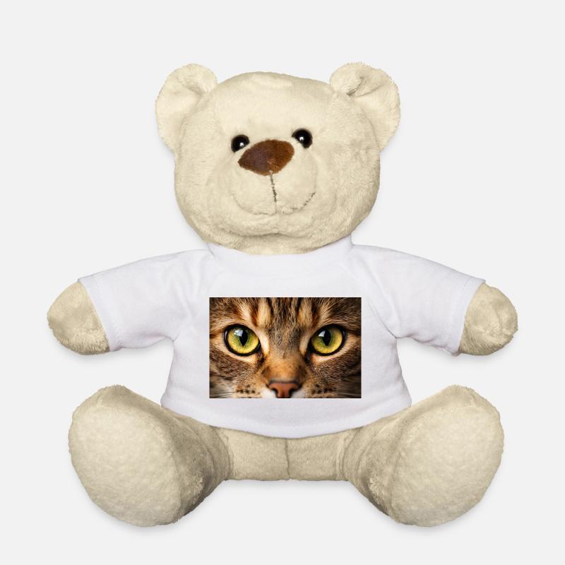 Œil de chat en gros plan - Nounours - blanc