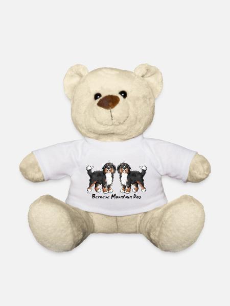 Two funny Bernese Mountain Dogs - Dog - Teddy Bear - white