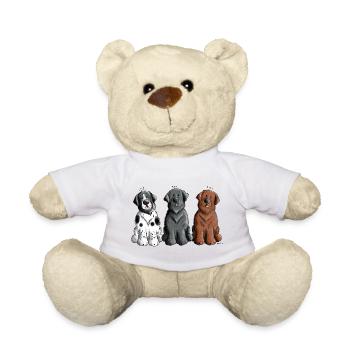Neufundländer Trio - Teddy - Weiß - Vorne